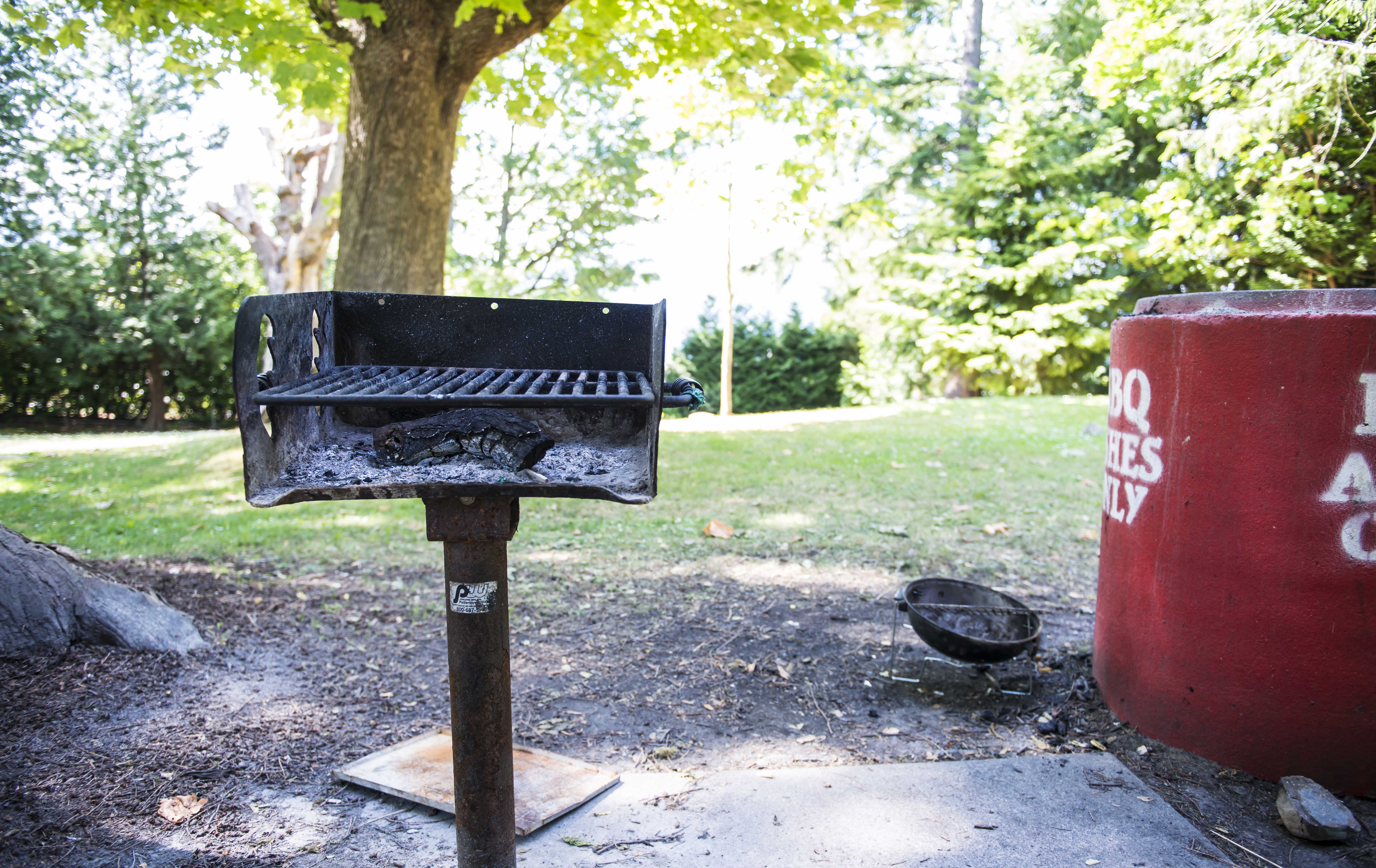 Barbecues And Fire Restrictions, Park Fire Pits
