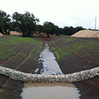 Control dewatering
