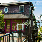 Black Cat - 3396 Marine Drive