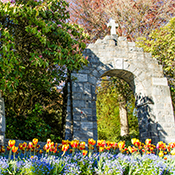 War Memorial - Memorial Park