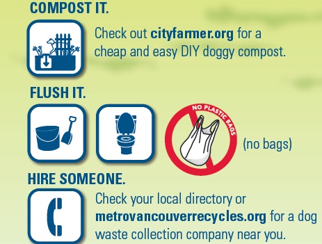 Dog poop disposal - home