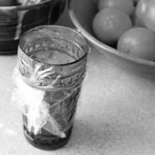 Fruit fly trap