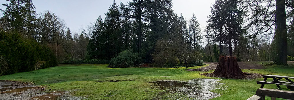 Klee Wyck Park