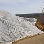 Stabilize soils