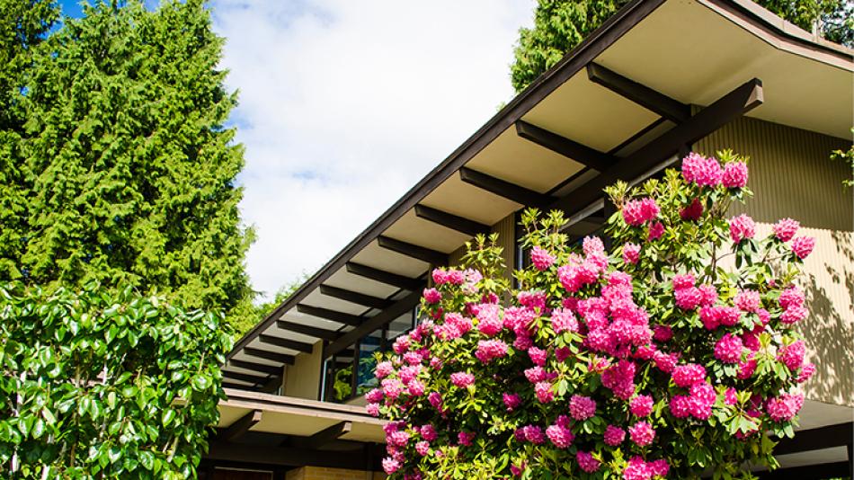 A corner of the exterior of the Toby House, decorated with a bush of pink flowers.