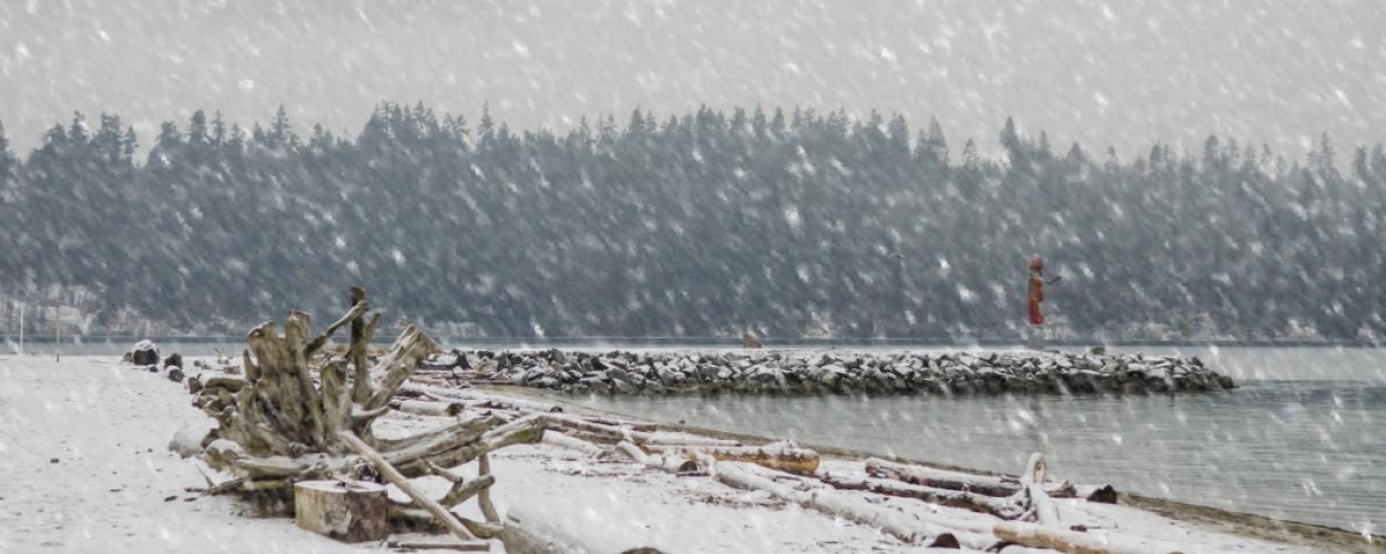 snow ambleside