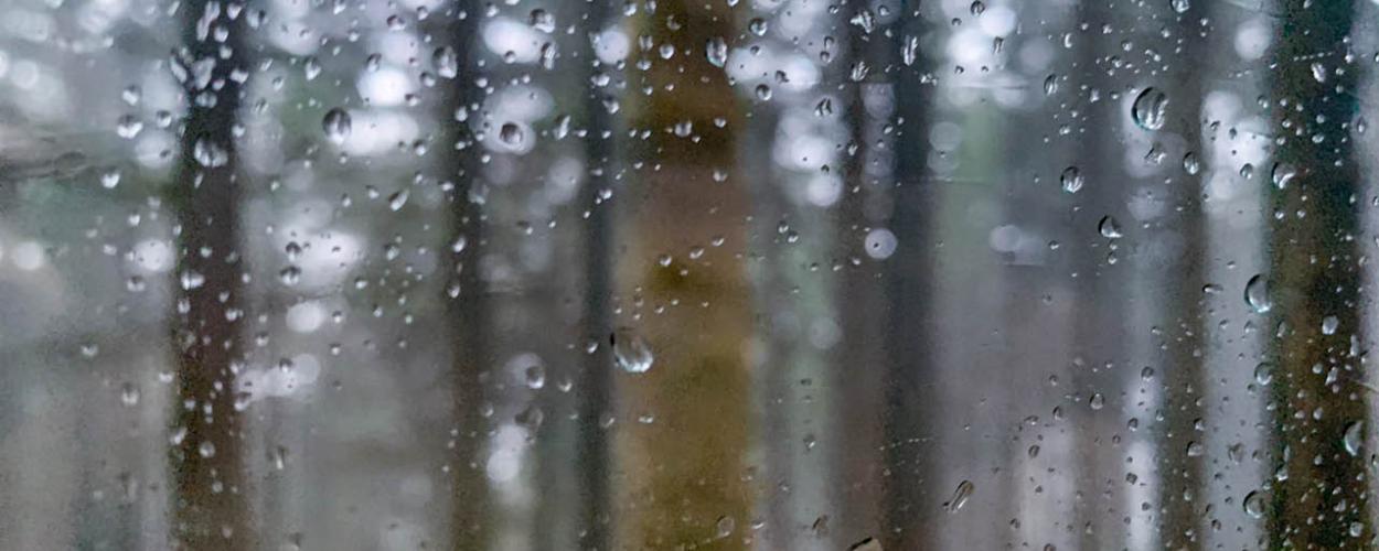 rain