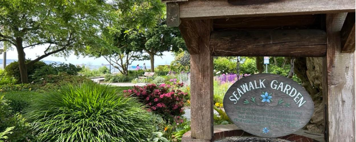 Seawalk garden 