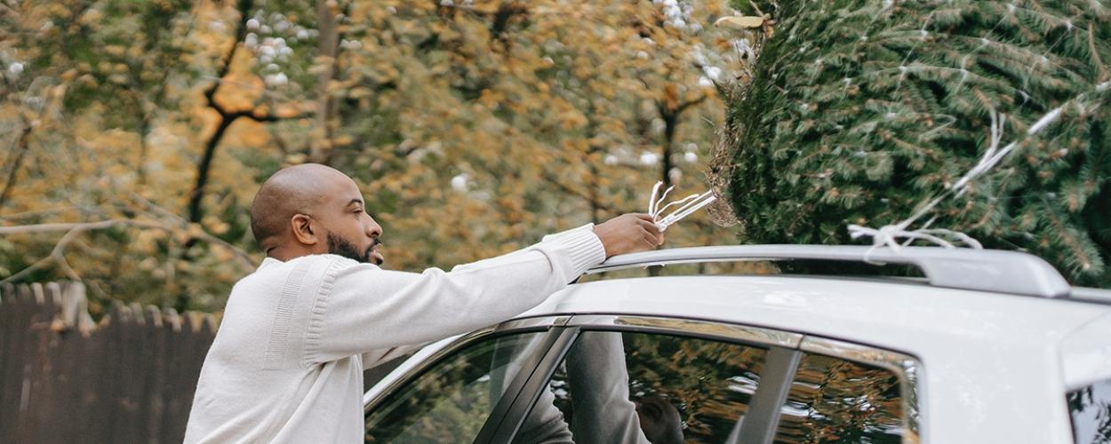 tree