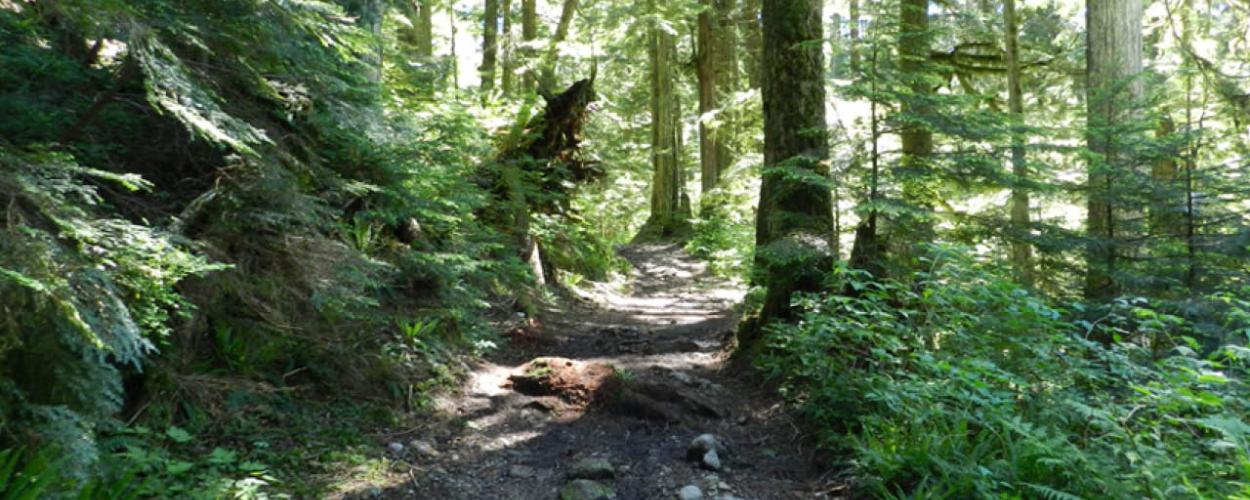 Eagleridge and Upper Lands - News post