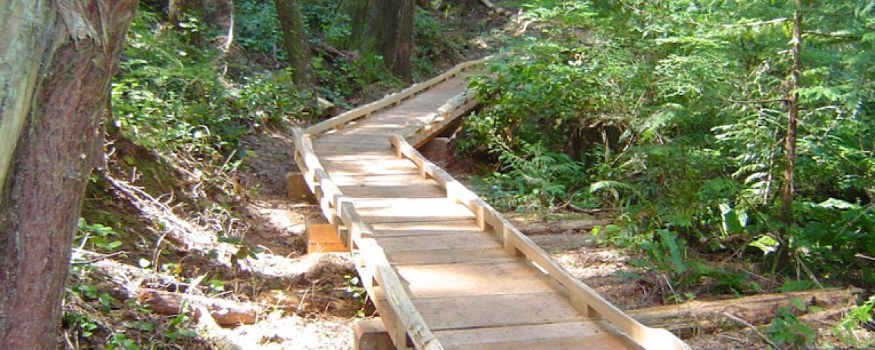A portion of the Whyte Lake Trail that has a wooden pathway.