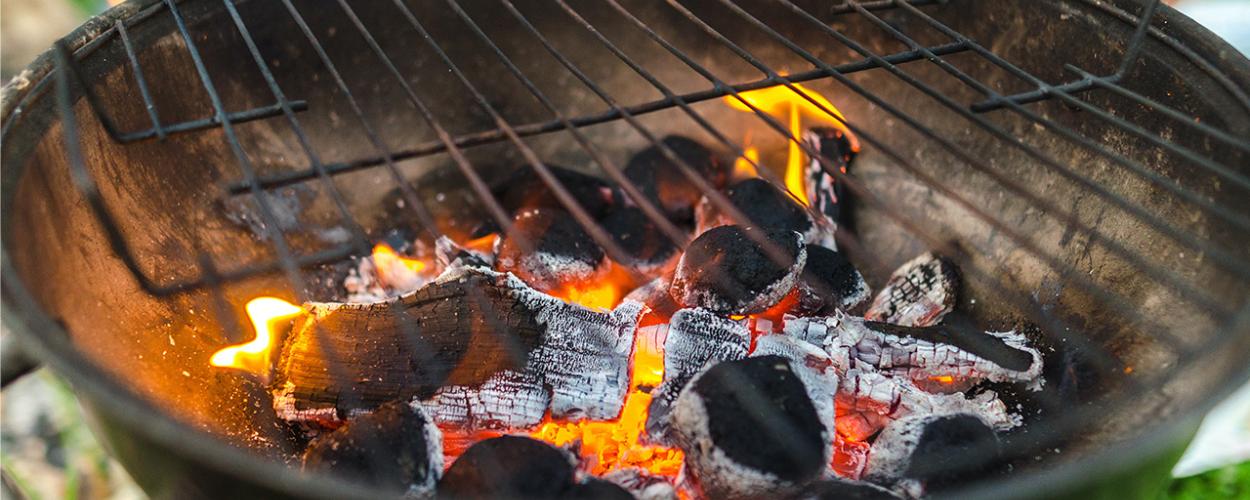 bbq ban