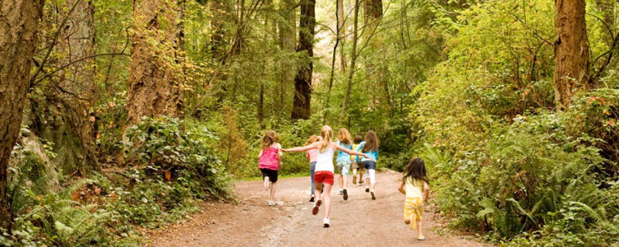 A group of children run down a trail through a forest. 