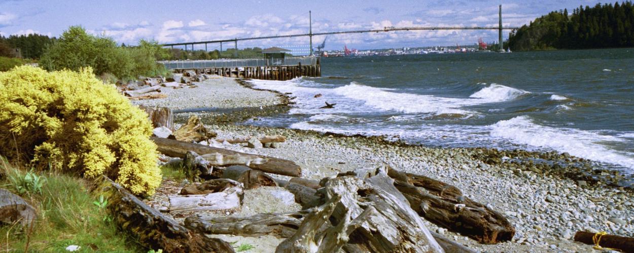Beach Cleanup - News post
