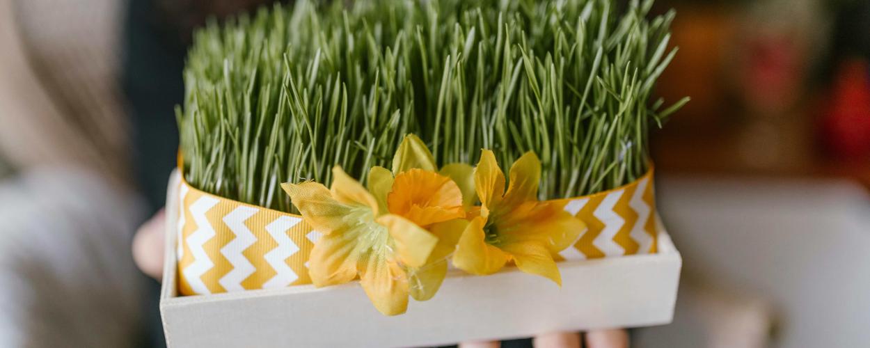 Nowruz - Mayors News post - March 12