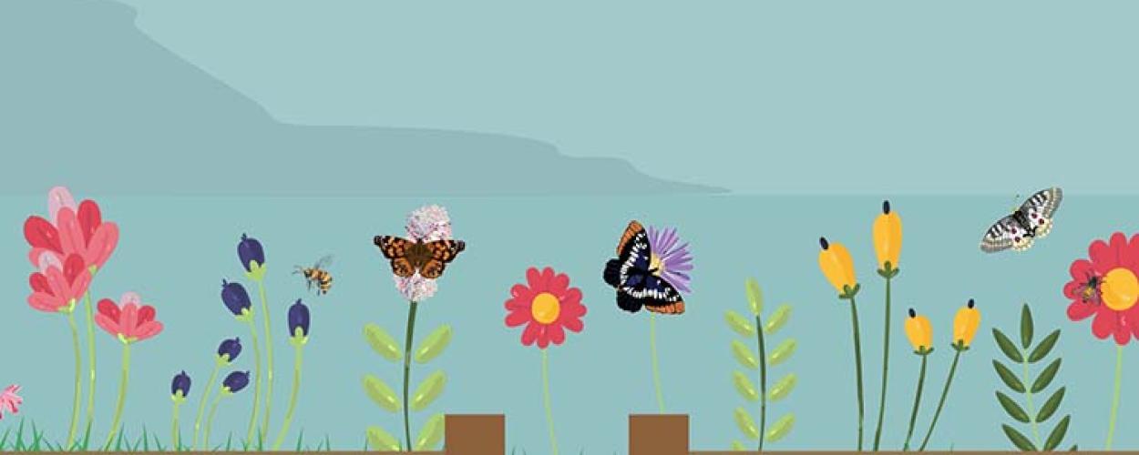 Pollinator Garden