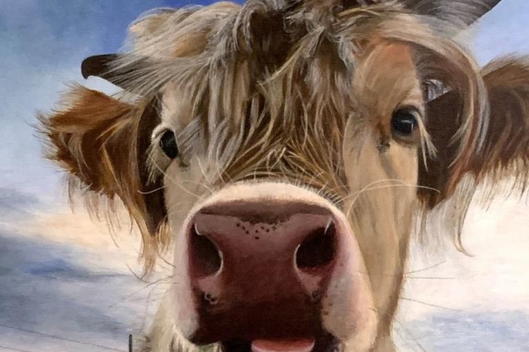 This is a close-up, eye-level oil painting of a Highland cow in a grassy field. The cow is the dominant subject, filling most of the frame and positioned directly in the center. Its face is very close to the viewer, with its large, pink nose and open mouth with pink tongue and white teeth being the most prominent features. The cow has long, shaggy, light brown and white hair that falls over its eyes, giving it a slightly obscured and endearing appearance. One dark, curved horn is visible on its right side, 