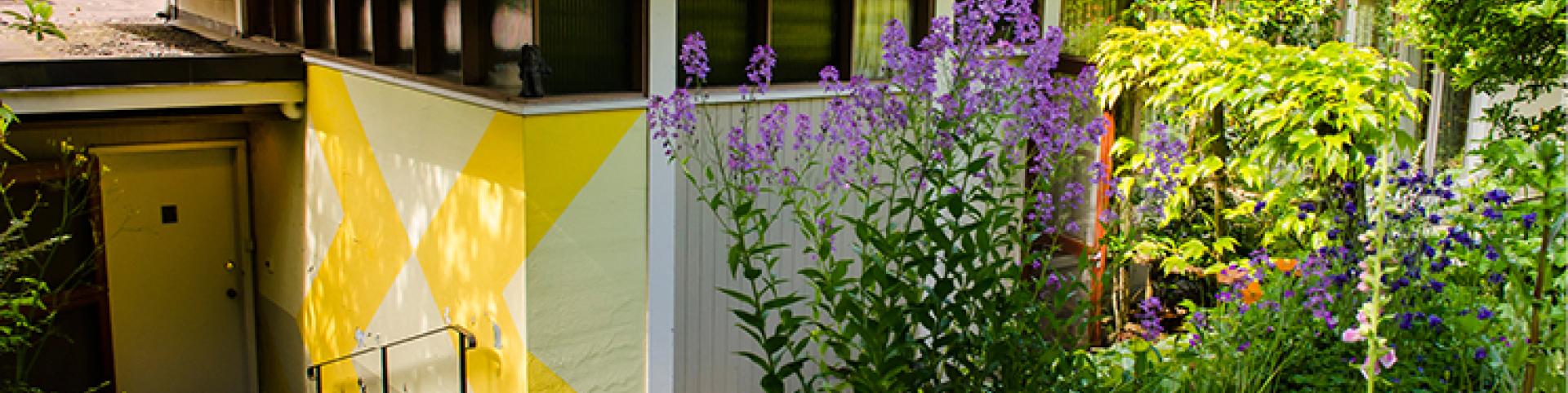 The Binning Residence entrance, set into the ground and surrounded by foliage.