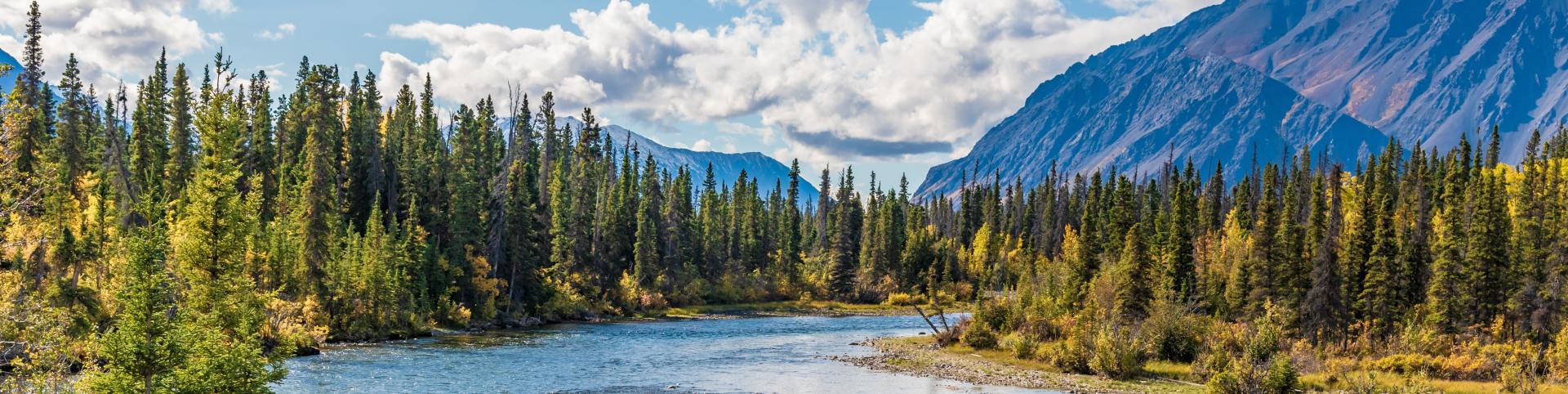 A wide, serene landscape opens up to a clear river winding gently through a broad valley. On both sides, dense stands of evergreen trees form rich green borders, their tall, pointed silhouettes creating a strong natural frame around the water. The river reflects the pale sky in soft ripples, and its surface looks calm, almost glassy, as it disappears into the distance.
