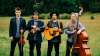 A group of four male musicians stand in a grassy field, holding their instruments. The background consists of a line of dark green trees and a blurred hint of a wooden fence and a distant field. The overall tone of the image is earthy and natural, with the greens of the field and trees being dominant, contrasted by the warm browns of the instruments and the musicians' attire. The lighting appears soft, suggesting an overcast day or late afternoon.