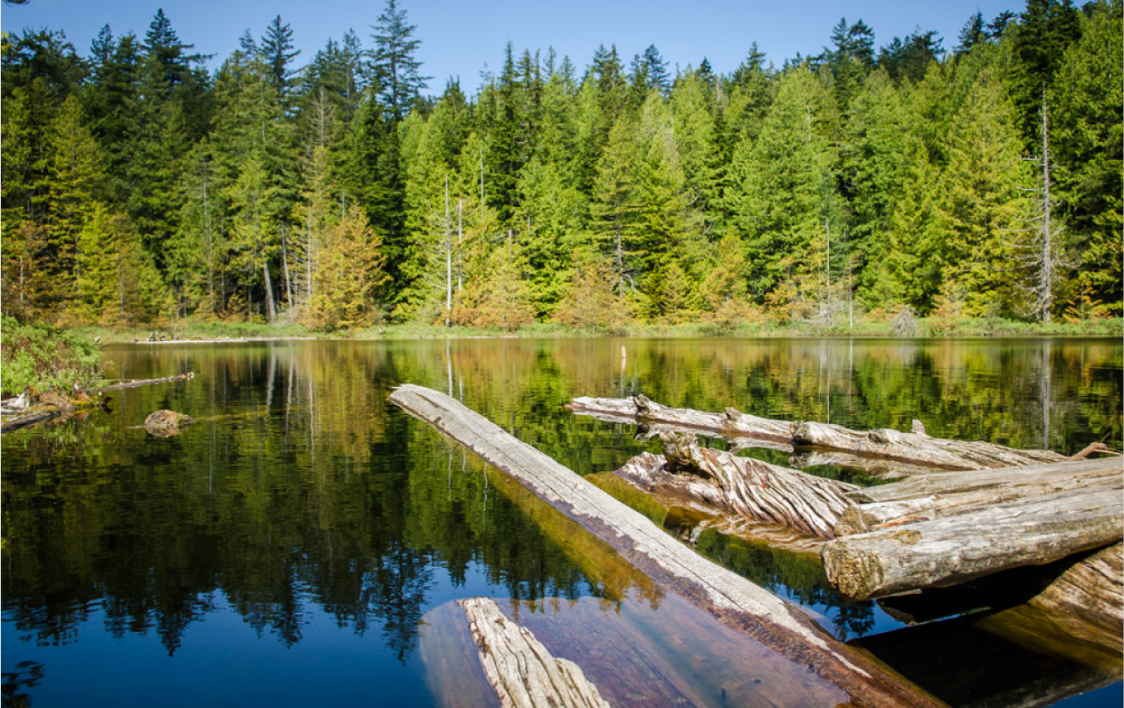 Whyte Lake Park | District of West Vancouver